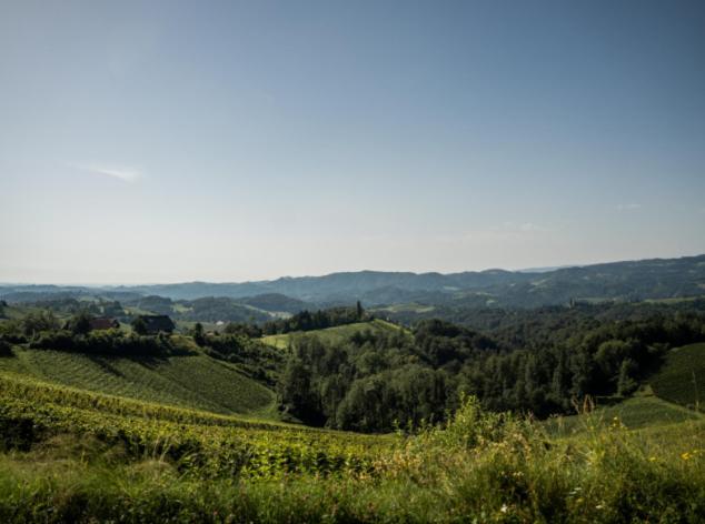 Mahorko Wein Wellness Wasserbueffel Гланц-ан-дер-Вайнштрасе Экстерьер фото