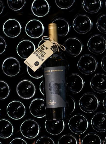 Mahorko Wein Wellness Wasserbueffel Гланц-ан-дер-Вайнштрасе Экстерьер фото